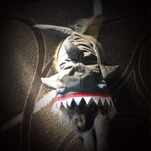 Meet your Posher, Deb